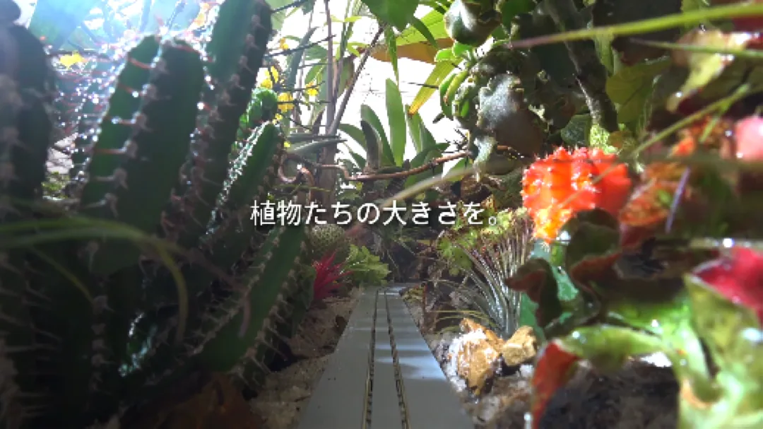 グローバル施策 “RESPECT NATURE”　Small Planet Experience
